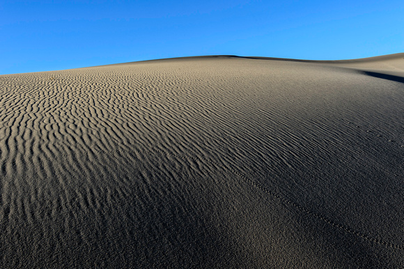Sand Dunes, PM
